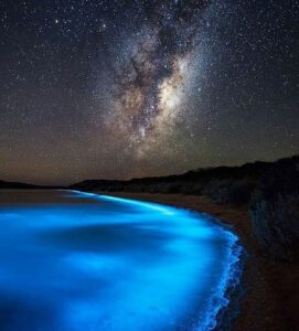 Images of the Milky Seas Phenomenon - Free The Ocean