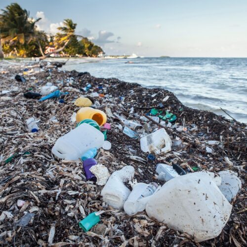 Help Us Free The Ocean Of Plastic Pollution - Free The Ocean